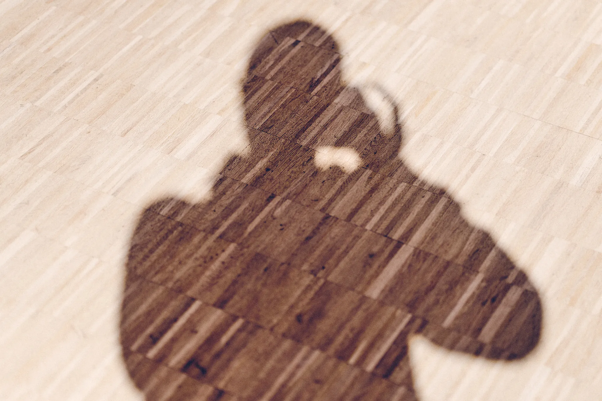Christophe Fassi's shadow on a wooden floor as he takes a photograph